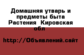 Домашняя утварь и предметы быта Растения. Кировская обл.